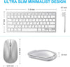 Silver Wireless Keyboard And Mouse Combo For iPad